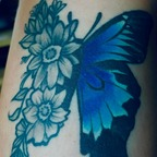 bluebutterflyofficial avatar